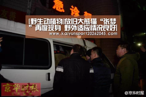 开云电竞