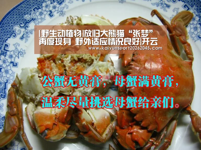 开云电竞