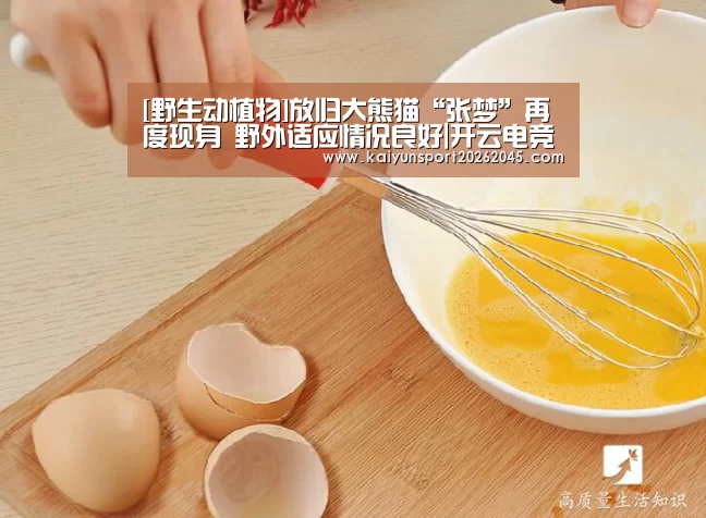 开云赛事