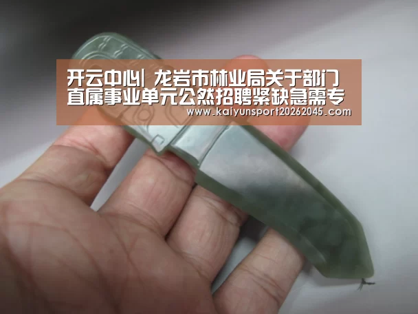 开云电竞